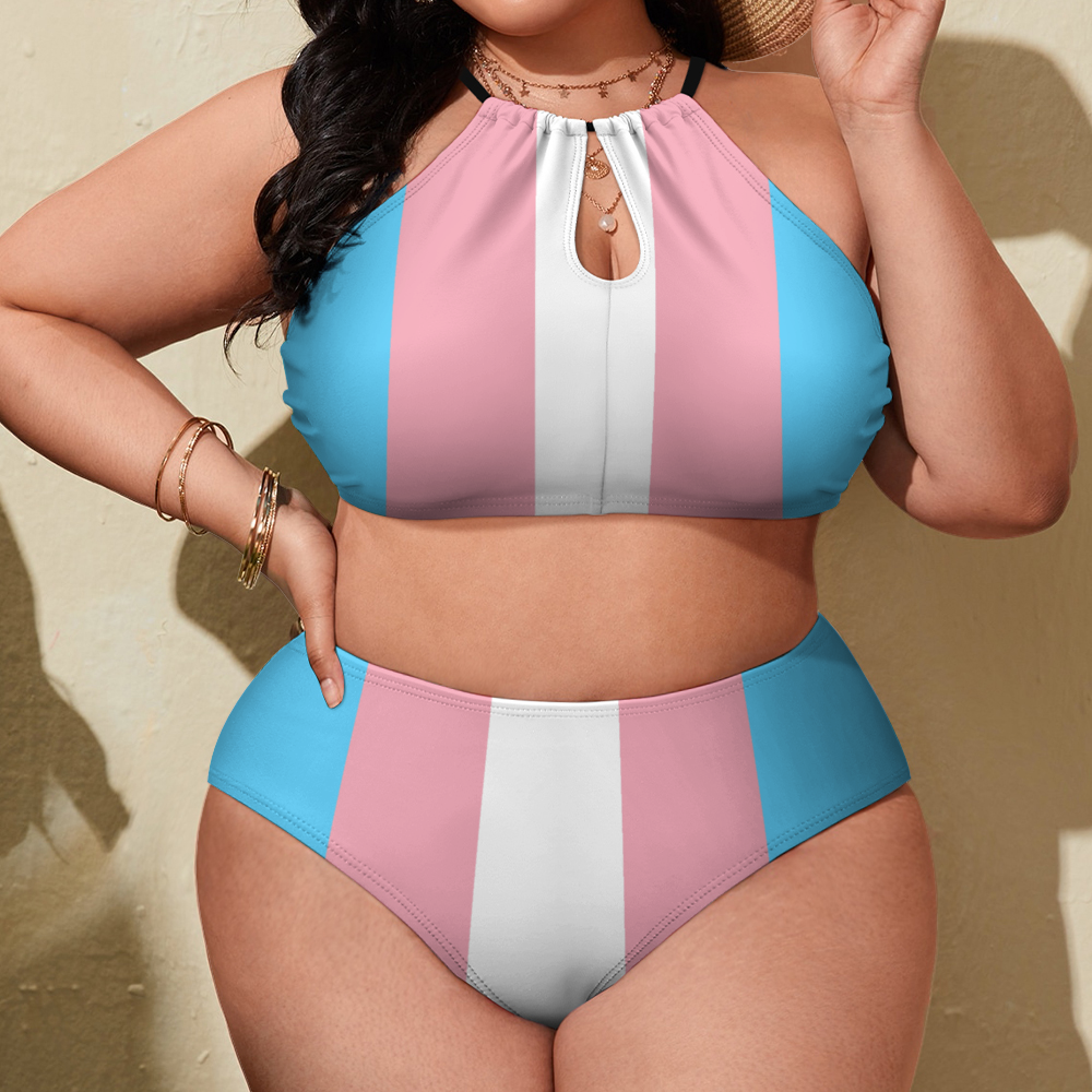 Plus Size Blue Pink White Pride Two Piece Stylish Bikini