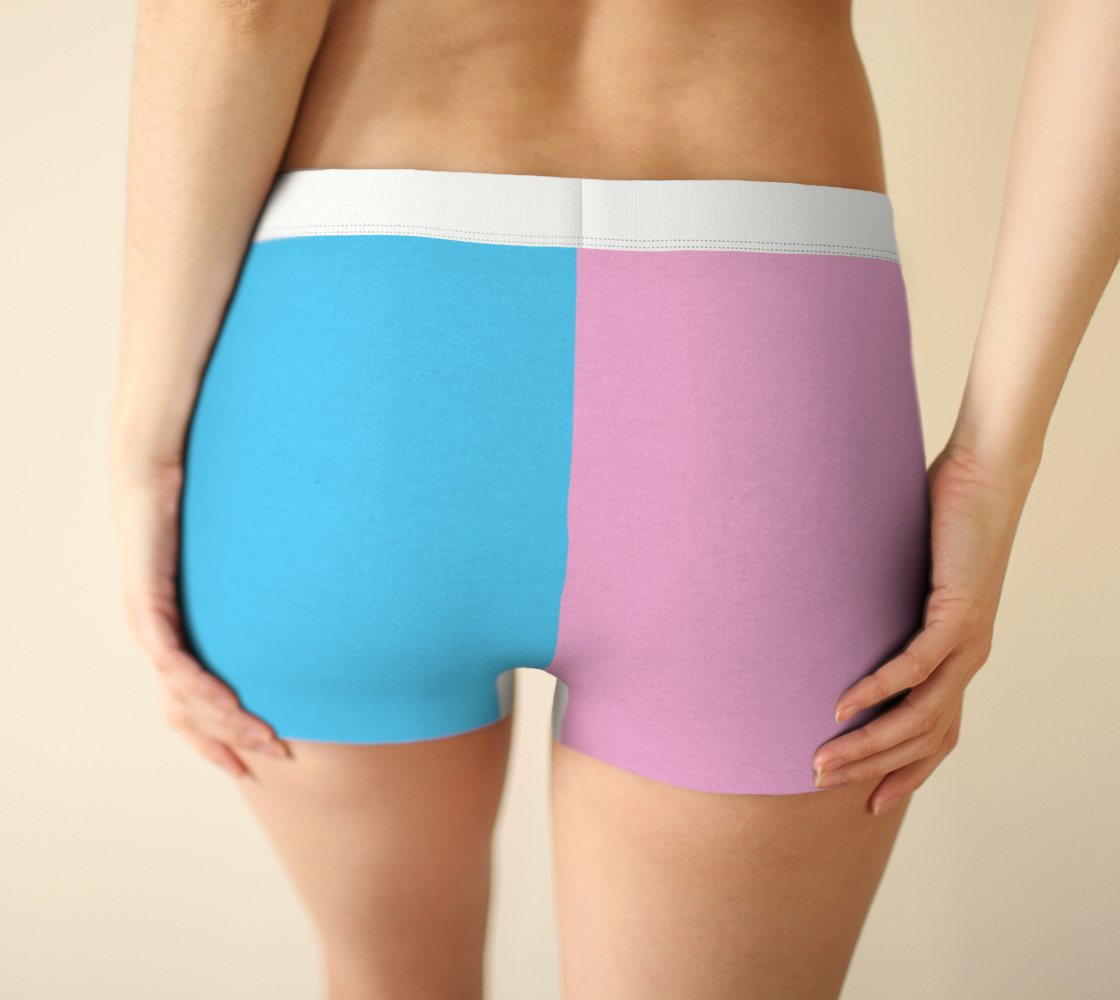 Blue Pink White Pride Block Boyshort Panty