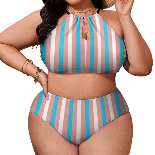 Plus Size Blue Pink White Candy Striped Pride Two Piece Stylish Bikini