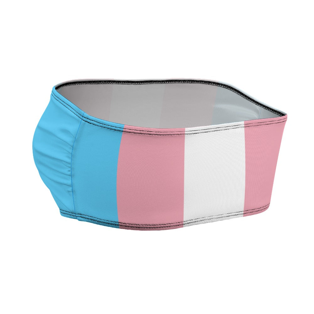 Blue Pink White Pride Strapless Cropped Bandeau Top