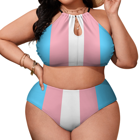 Plus Size Blue Pink White Pride Two Piece Stylish Bikini