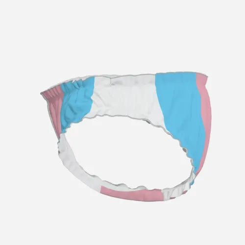 XXS-XXL Blue Pink White Pride High-Cut Knickers