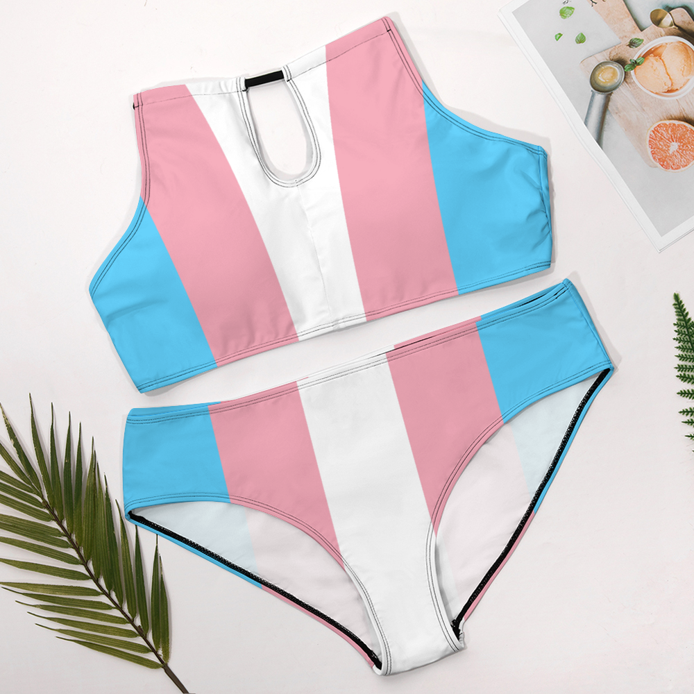 Plus Size Blue Pink White Pride Two Piece Stylish Bikini